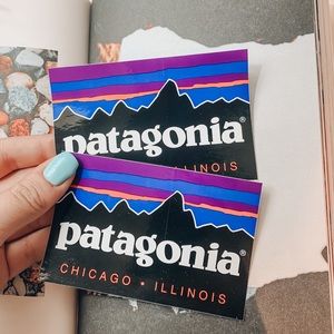 Patagonia Classic Sticker-Chicago, Illinois